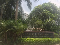 祝東莞市高豐木業制品有限公司2020年一次性通過BSCI/FCCA/SCS驗廠審核