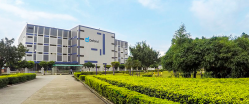 祝東莞德豐電創股份有限公司2020年通過BSCI驗廠